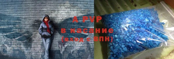 PSILOCYBIN Абаза